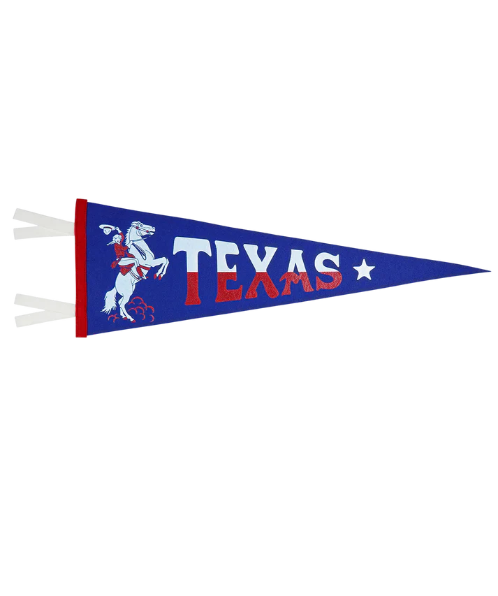 Texas Pennant Flag